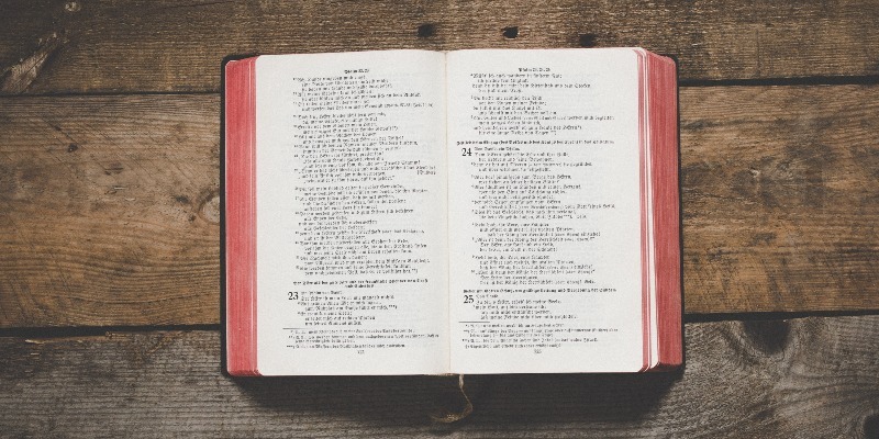 The Bible for Grown-ups: a New Look at the Good Book